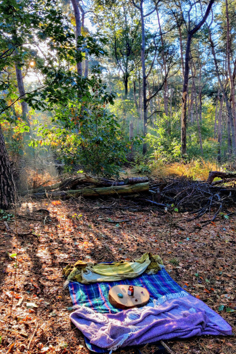 Meditatie in het bos