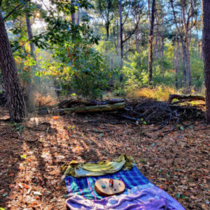Persoonlijke meditatie in bos