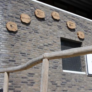 Eindresultaat-6-houten-schijven-basisschool