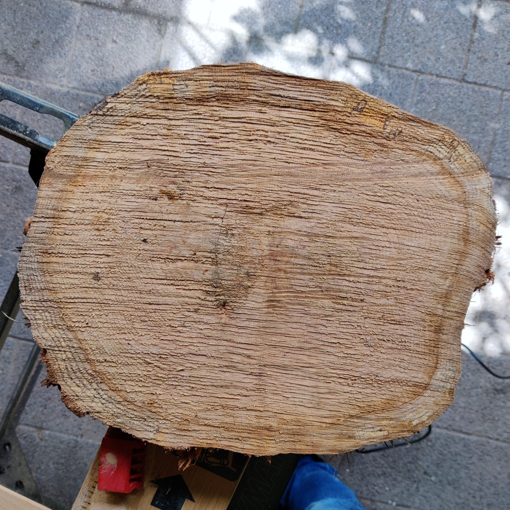 Ongeschuurde houten schijf
