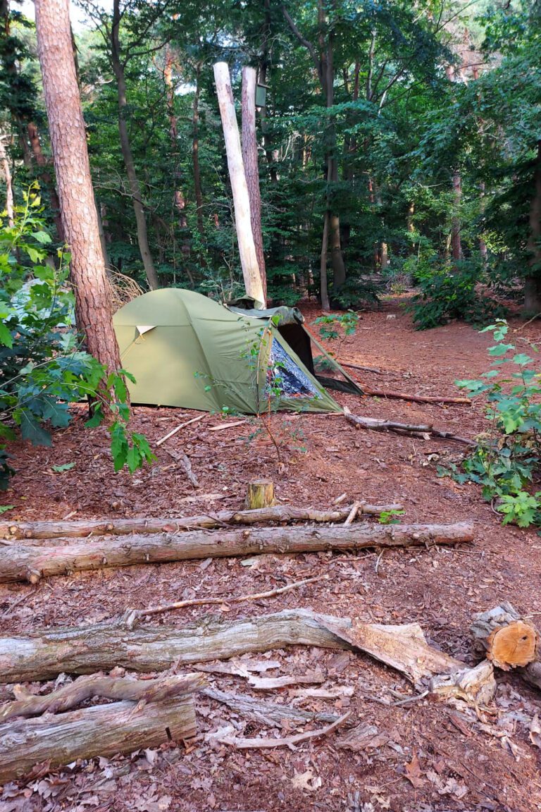 Tent in het bos
